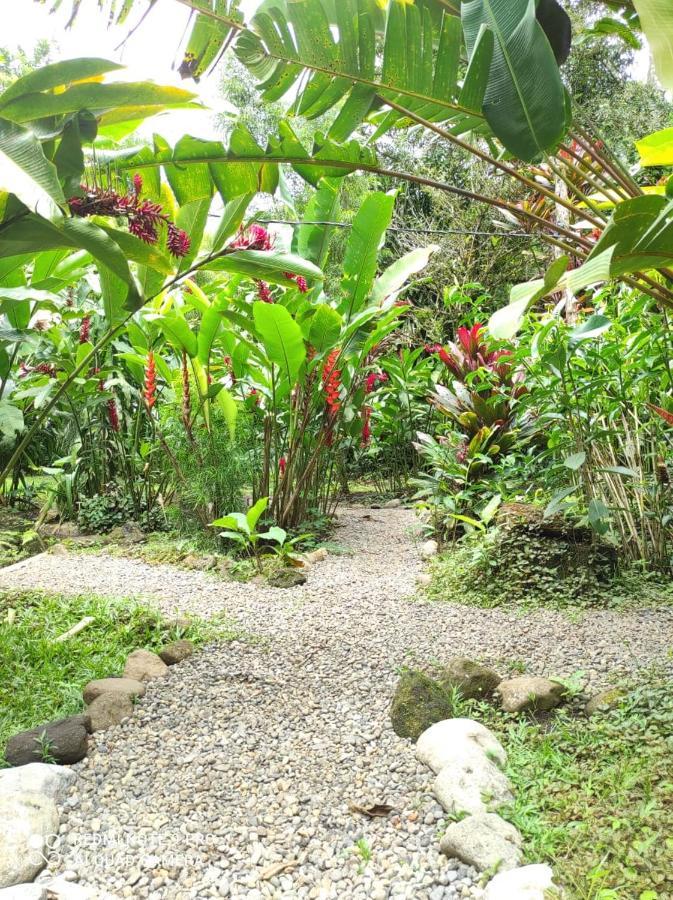 Casita Lidia Bijagua Bed & Breakfast Bagian luar foto